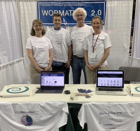 WormAtlas Booth Aging 2019